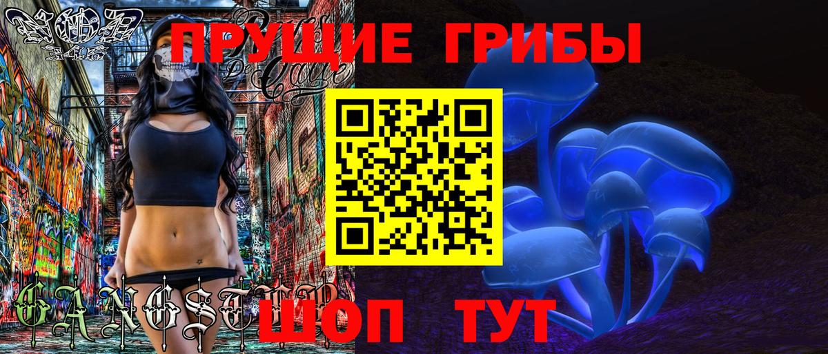 Галлюциногенные грибы Psilocybe Реутов