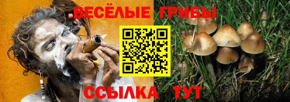 Реутов  Псилоцибиновые грибы Cubensis  Вход с VPN  Псилоцибиновые грибы Psilocybine cubensis 